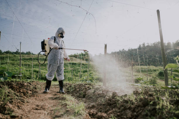 Best Pest Removal Services  in Plumsteadville, PA