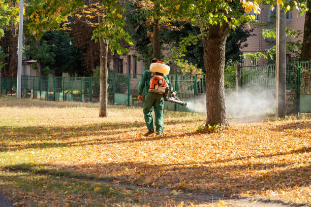 Best Exterminator Services  in Plumsteadville, PA
