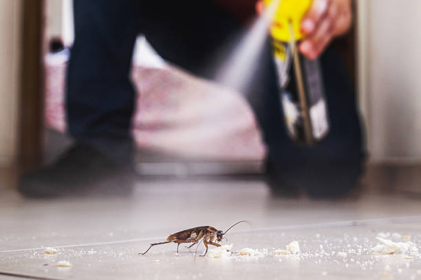 Best Bed Bug Extermination  in Plumsteadville, PA