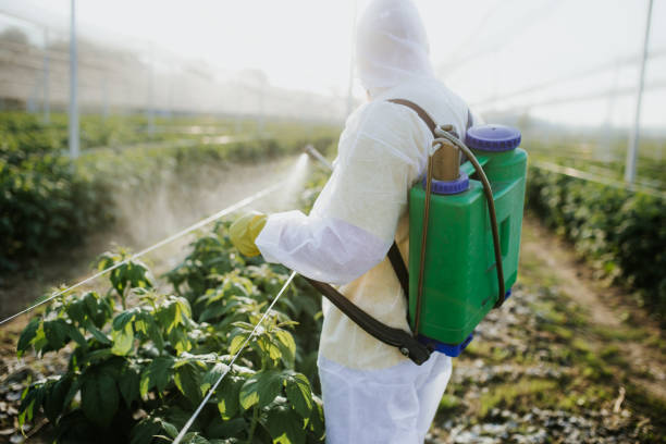 Best Mosquito Control Services  in Plumsteadville, PA